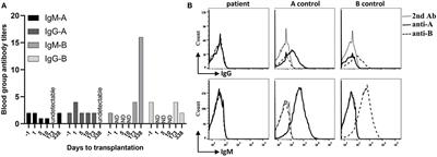 Case Report: Successful ABO-Incompatible Deceased Donor Kidney Transplantation in an Infant Without Pre-transplant Immunological Treatment